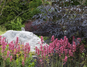 kevatpuutarhamarkkinat-marketanpuisto