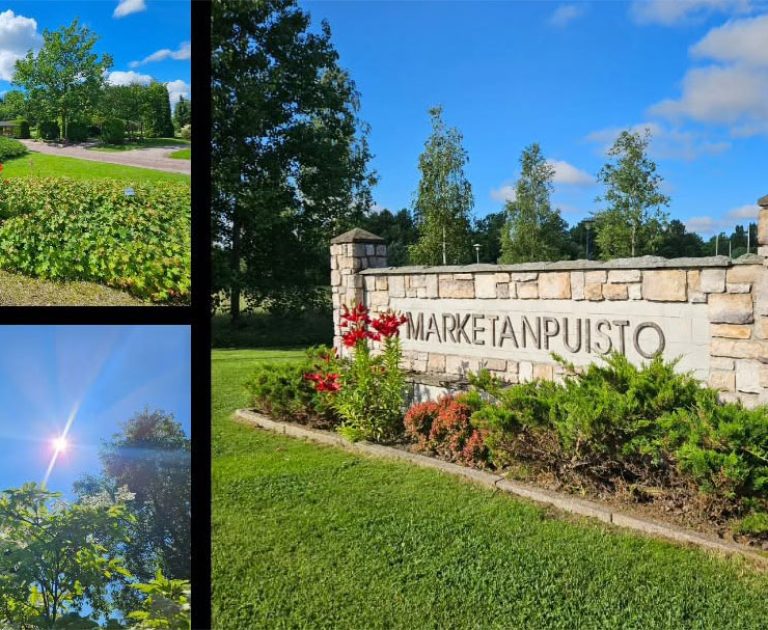 1-haastavien-koteiden-koulutus-marketanpuisto